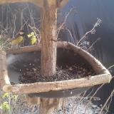 photo 2019-12-26 13-40-50