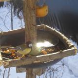 photo 2019-01-27 10-01-16