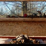 photo 2022-01-15 14-14-53