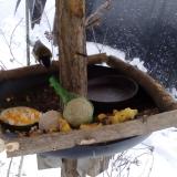 photo 2019-01-22 15-22-49