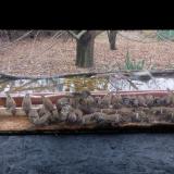 photo 2021-11-29 11-09-35