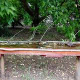 photo 2021-05-22 10-42-36