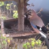 photo 2019-12-12 12-57-29