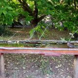 photo 2021-05-25 19-03-42