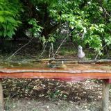 photo 2021-05-16 10-24-43