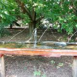 photo 2021-08-08 16-09-41