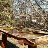 photo 2022-03-21 13-50-54