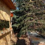 photo 2022-01-12 11-52-47