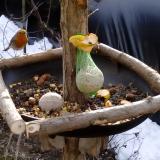 photo 2019-01-16 10-09-46