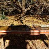 photo 2021-10-24 12-03-33