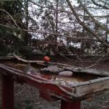 photo 2022-03-24 18-13-42