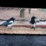 photo 2021-12-09 08-53-16