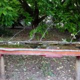 photo 2021-05-25 19-51-47