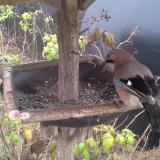 photo 2019-12-12 12-56-56