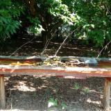 photo 2021-07-23 09-56-26