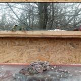 photo 2022-01-17 12-34-54