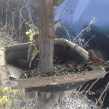 photo 2019-12-27 09-33-58