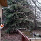 photo 2021-12-14 15-04-39