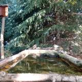 photo 2023-10-12 10-24-13