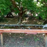 photo 2021-07-01 13-38-05