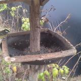 photo 2019-12-13 14-20-53