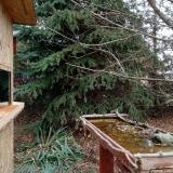 photo 2021-11-19 11-22-17