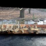 photo 2021-12-04 09-45-57