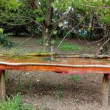 photo 2021-04-25 14-02-18