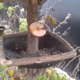 photo 2019-12-04 11-46-52