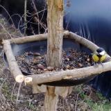 photo 2019-01-03 12-49-43