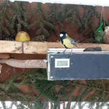 photo 2021-02-11 09-17-49