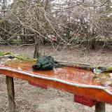 photo 2021-03-25 08-52-26