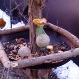 photo 2019-01-17 07-14-44