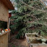 photo 2021-12-18 13-48-23