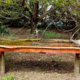 photo 2021-04-14 13-53-58