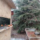 photo 2021-12-28 09-44-41