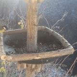 photo 2019-12-30 11-16-12