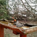 photo 2022-03-17 10-12-24