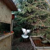 photo 2022-01-02 14-15-30