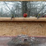 photo 2022-01-16 13-04-34