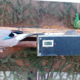 photo 2021-03-03 07-03-49