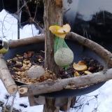 photo 2019-01-14 07-38-56