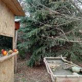 photo 2021-12-22 12-20-38