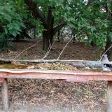 photo 2021-09-20 15-14-24