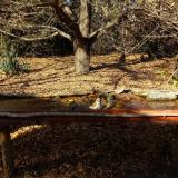 photo 2021-10-25 14-32-55