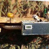 photo 2021-02-15 12-19-44