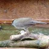 photo 2023-10-28 12-25-05 baratposzata