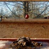 photo 2022-01-15 13-49-29