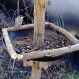 photo 2019-01-03 11-22-57