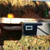 photo 2021-02-15 15-38-40